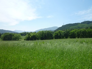 季節の風景１