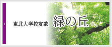 寄附をする
