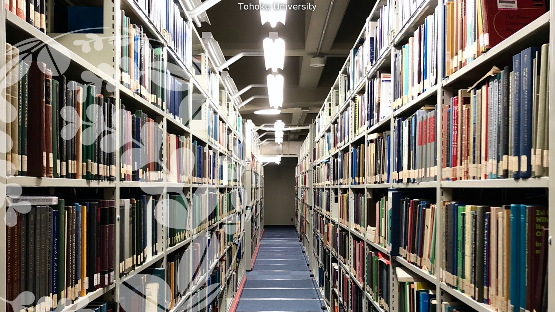 東北 大学 図書館