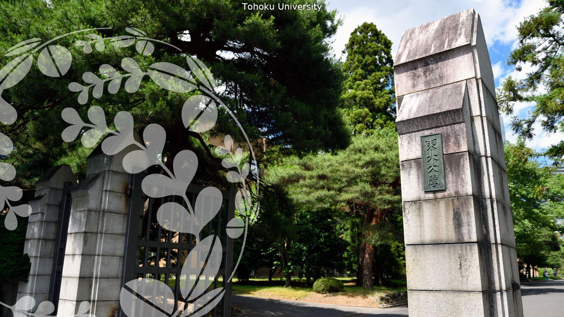 東北大学正門