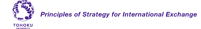 Principles of Strategy for International Exchange