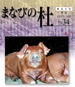 まなびの杜34号 まなびの杜34号