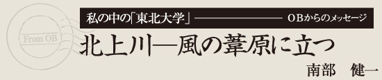 私の中の「東北大学」OBからのメッセージ　北上川—風の葦原に立つ