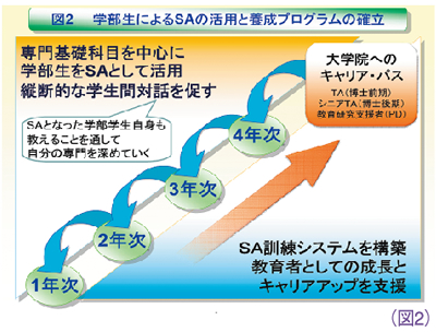 図2　学部生によるSAの活用と養成プログラムの確立