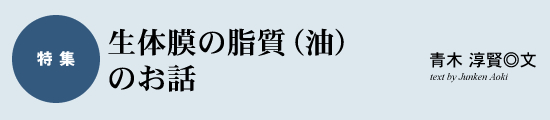 特集　生体膜の脂質（油）のお話　青木淳賢◎文　text by Junken Aoki