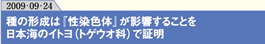 種の形成は『性染色体』が影響することを日本海のイトヨ（トゲウオ科）で証明