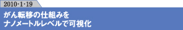 がん転移の仕組みをナノメートルレベルで可視化