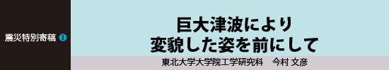 震災特別寄稿１ 巨大津波により変貌した姿を前にして 東北大学大学院研究科 今村文彦