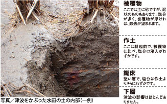 東北大学病院の様子