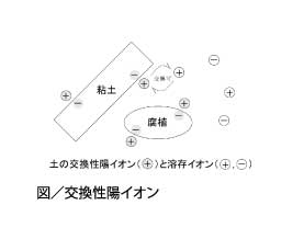 東北大学病院の様子