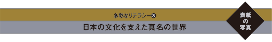 多彩なリテラシー3　日本の文化を支えた真名の世界