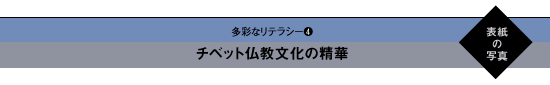 多彩なリテラシー3　日本の文化を支えた真名の世界